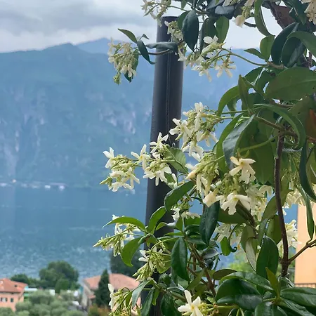 View * Bellagio