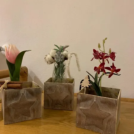 View Апартаменты